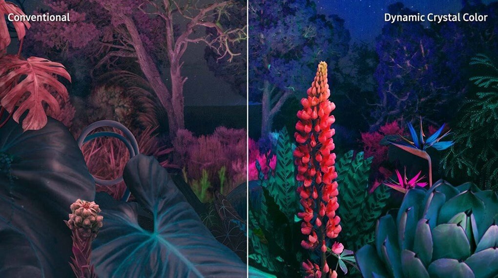 Tivi Samsung smart 4K UHD 55DU8000